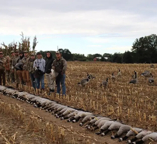Hunting party behind a long line of geese with decoys in the field