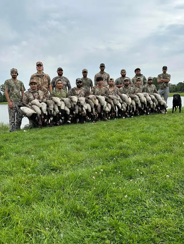Large group of hunters in camo with geese on the grass and a black Labrador retriever