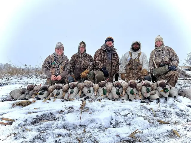 Five hunters with mallards in the snow
